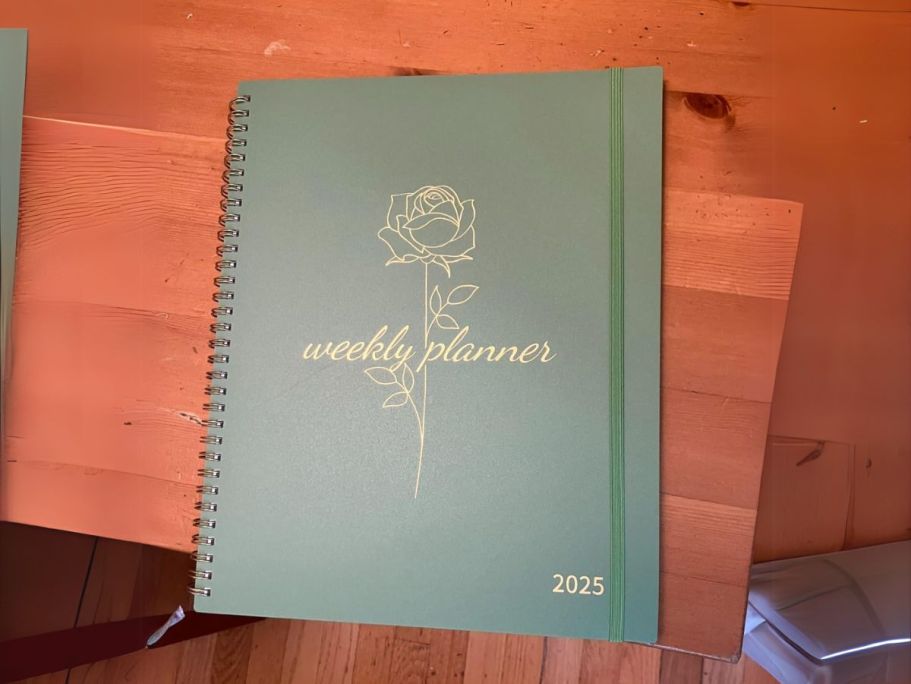 2025 Planners Only $4.49 on Amazon – Stay Organized This Year