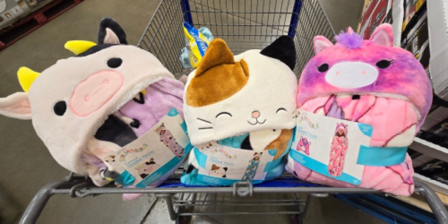 Sam’s Club Kids Character Throws & Body Pillows from $14.95 | Disney, Bluey, Squishmallows, & More