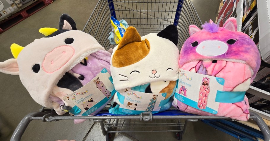 Sam’s Club Kids Character Throws & Body Pillows from $14.95 | Disney, Bluey, Squishmallows, & More