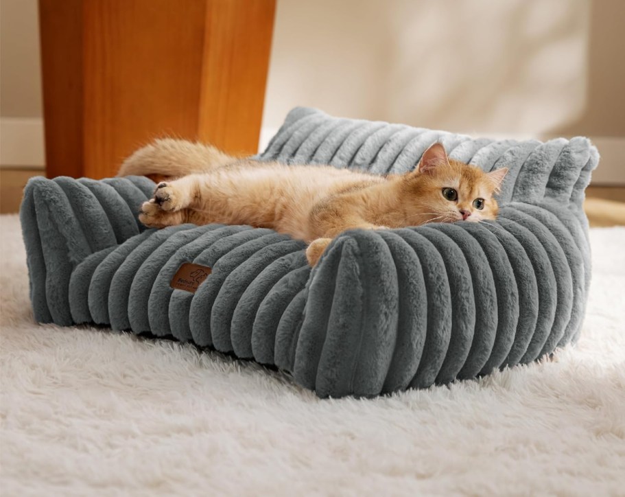 Cat Couches UNDER $40 on Amazon (See Our Top 3 Picks!)