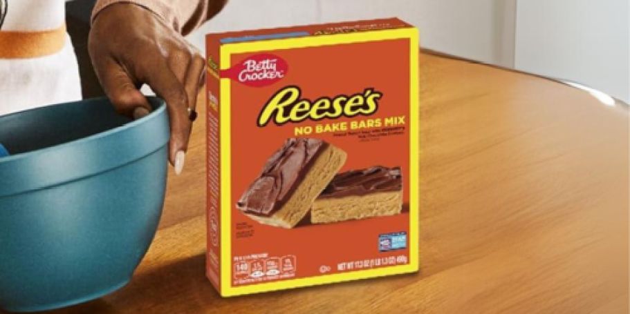 Betty Crocker Reese’s Peanut Butter No-Bake Mix Only $2.97 Shipped on Amazon (Reg. $4)