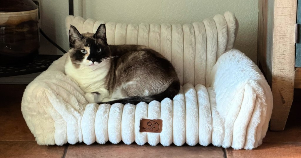 Cat resting on white fleece couch sized for a pet