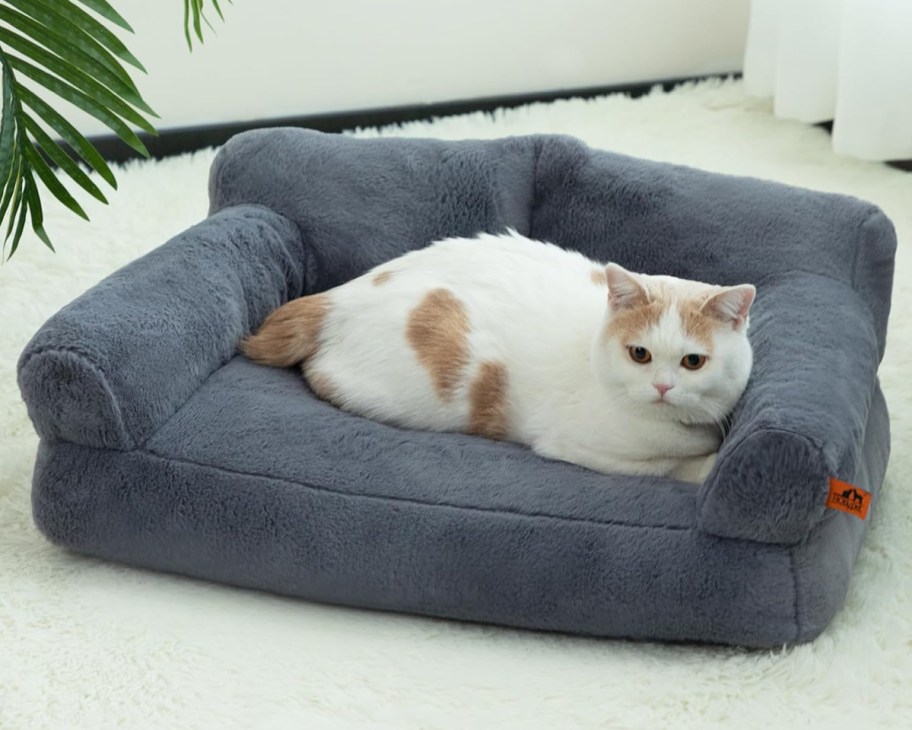 Cat-Couch-HollyPet-on-Amazon-1 أرائك القطط اللطيفة التي تقل قيمتها عن 40 دولارًا على أمازون (راجع أفضل 3 اختيارات لدينا!)