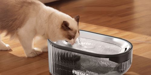 Cat Water Fountain Just $19.99 on Amazon | Removes 99.9% of Impurities