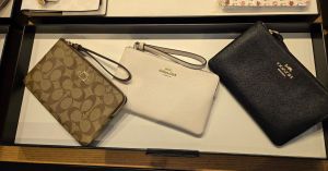 Coach Wristlets from $29 Shipped (Regularly $88)
