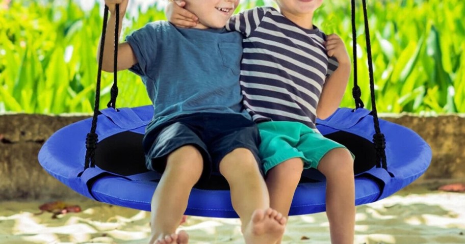 two little boys swinging on a blue saucer tree swing outdoors