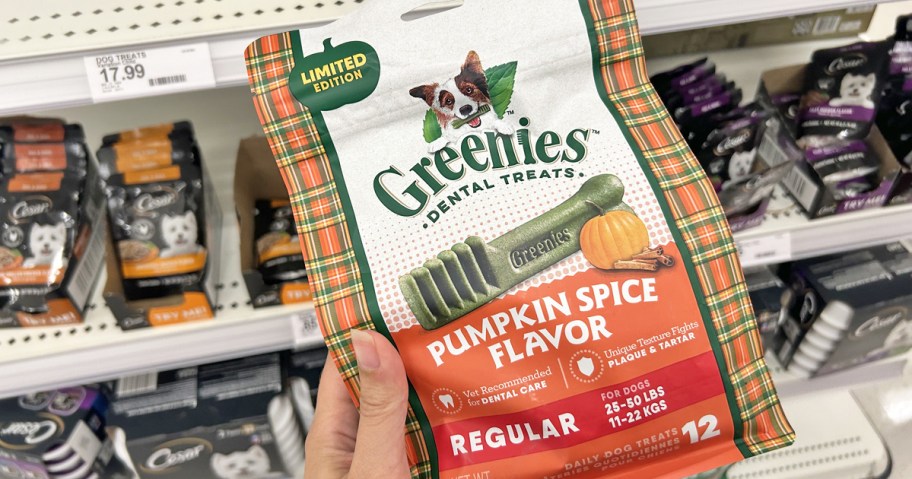 person holding up a bag of pumpkin spice flavored Greenies dog treats