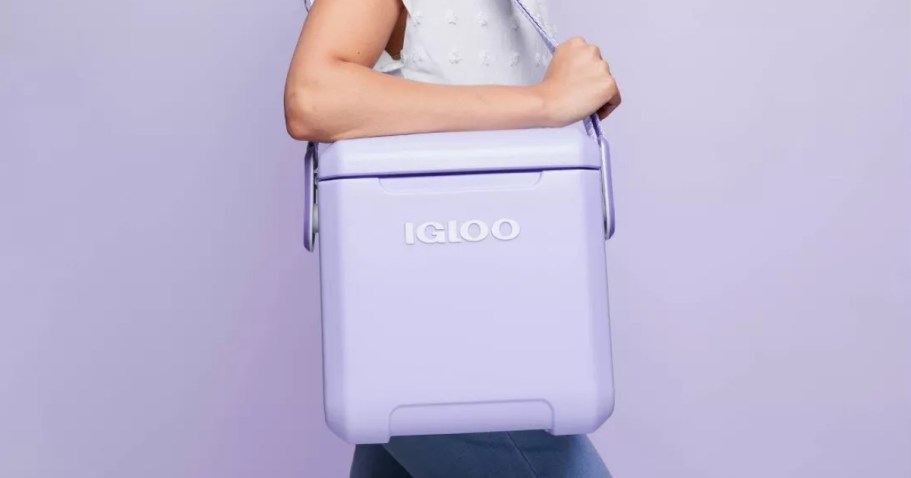 Igloo Tag Along Hard Side Coolers Only $35.99 Shipped on Target.com