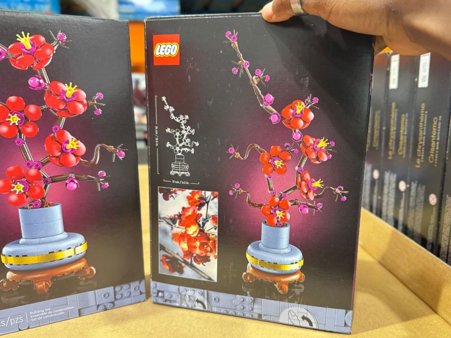 LEGO Plum Blossom Botanical Collection Set in store