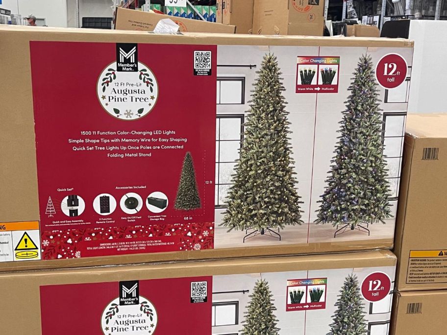 Member's Mark 12' Augusta Pine Pre-Lit Christmas Tree in box in store