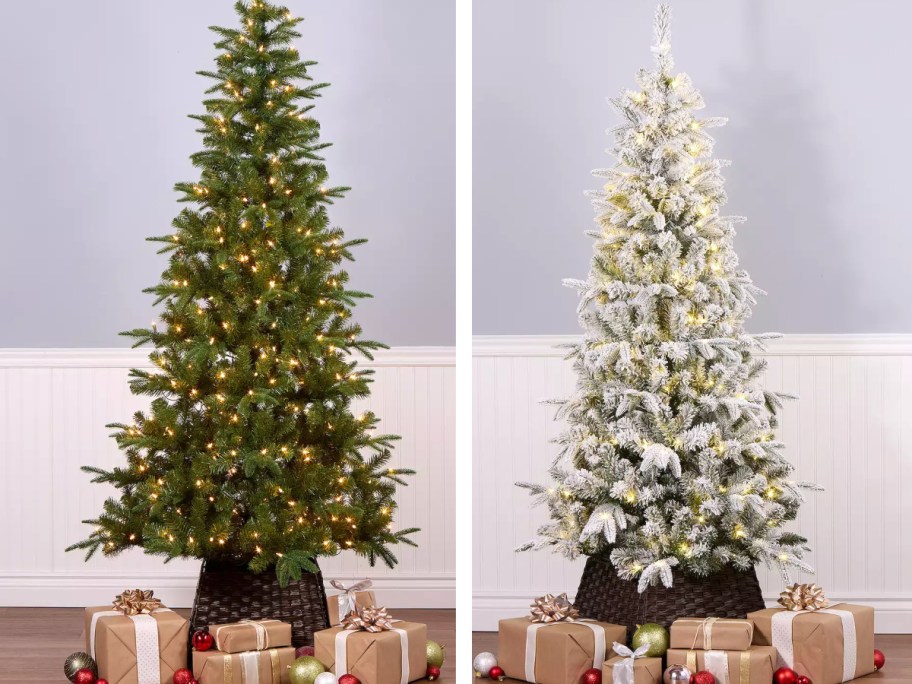 regular and flocked christmas trees