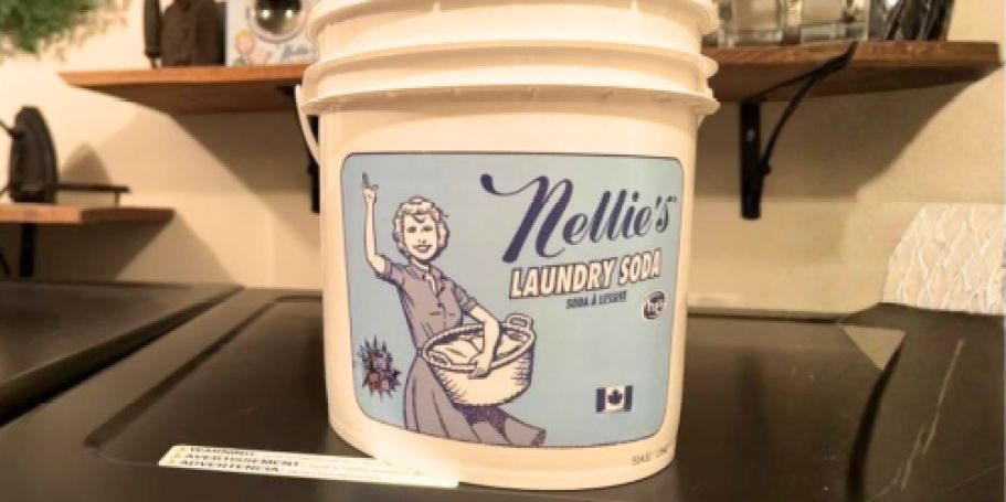 RARE $20 Off Nellie’s 800-Load Laundry Soda + Free Shipping on Costco.com