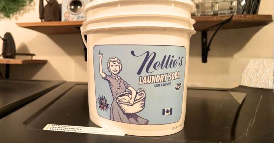 RARE $20 Off Nellie’s 800-Load Laundry Soda + Free Shipping on Costco.com