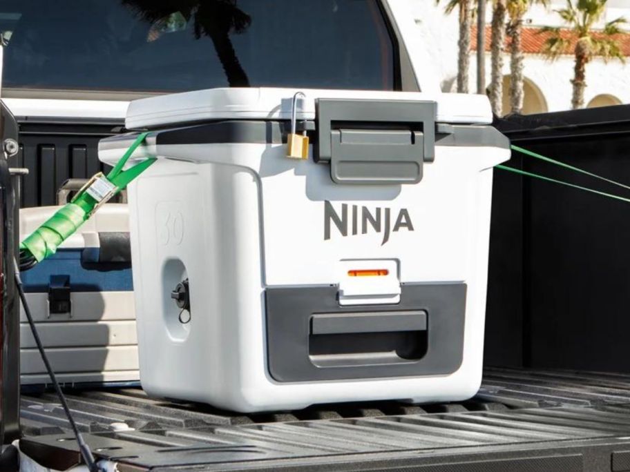 A ninja Frostvault Cooler in the back of. atruck