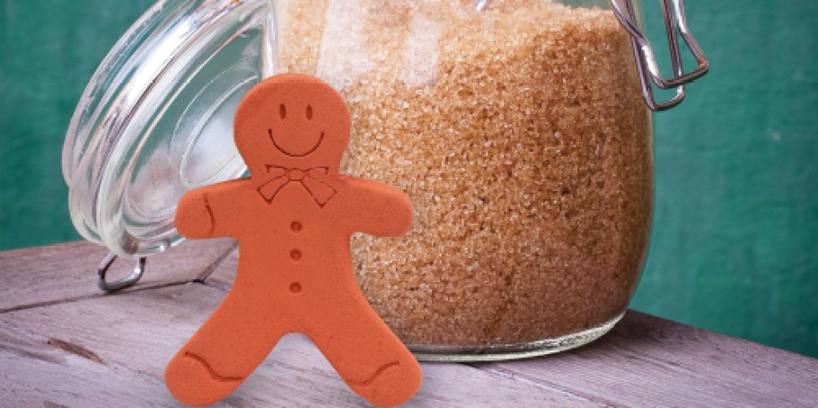 Brown Sugar Keeper Only $3.49 on Amazon (Keeps Sugar Fresh for Months!)