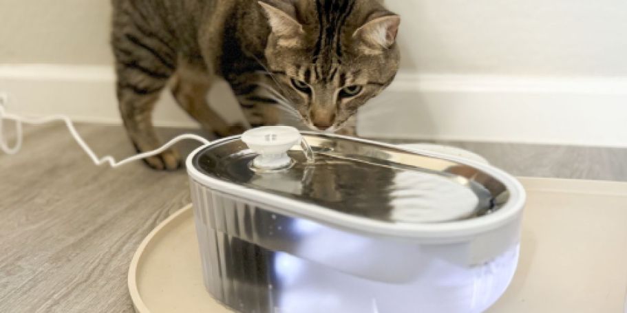 Cat Water Fountain Only $15.99 on Amazon (Removes 99.9% of Impurities)