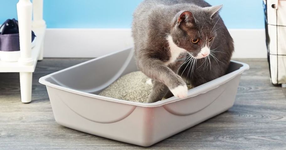 Petmate Litter Box 