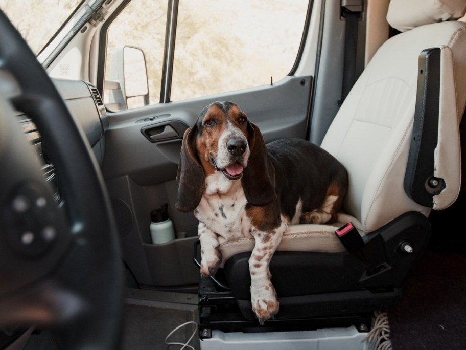 dog laying on front seat in rv