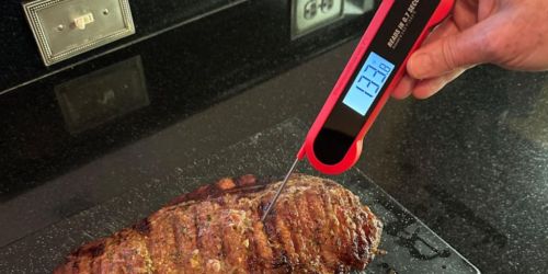 Digital Meat Thermometer Only $9.90 on Amazon (Regularly $40) | Waterproof w/ Magnetic Back