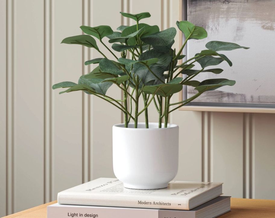 an artificial eucalyptus plant in a white pot sitting on a stack of books