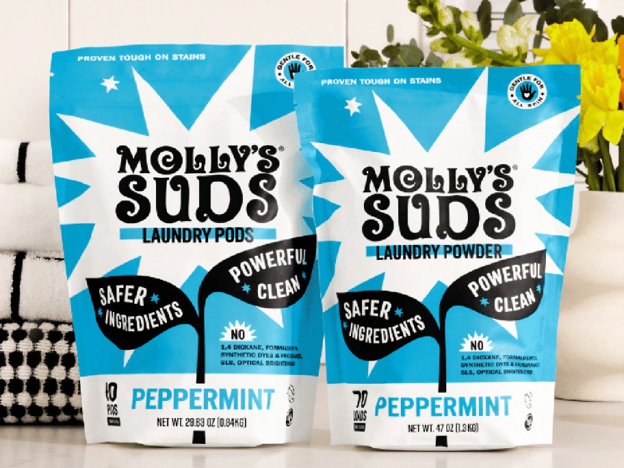 Two-packets-of-Mollys-suds-detergent منظف ​​رغوة مولي فقط 5.49 دولارًا بعد الاسترداد النقدي عند الهدف (15 دولارًا بانتظام)