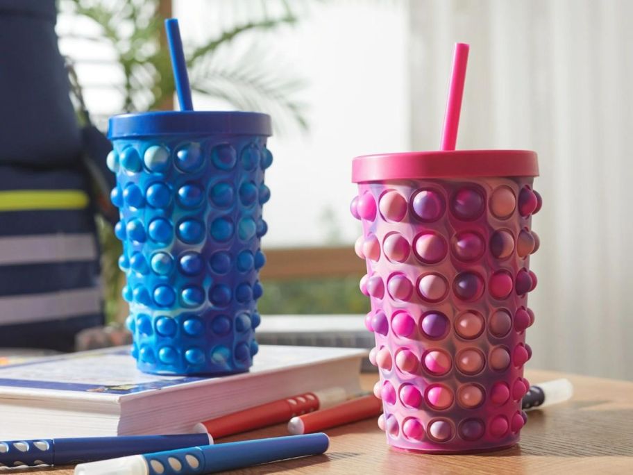 Blue and Pink Your Zone 16 oz Popit Water Tumblers