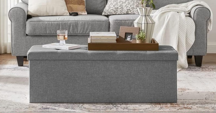 Folding Storage Ottoman Only $45.99 Shipped for Amazon Prime Members