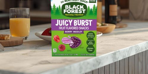 Black Forest Fruit Snacks 22-Count Box Only $3.32 Shipped on Amazon (Just 15¢ Each)