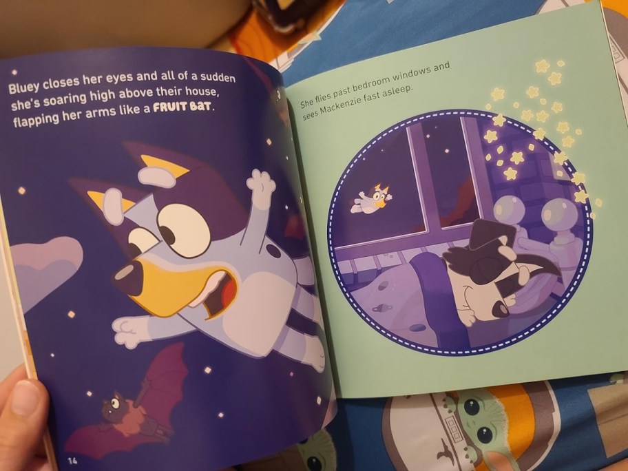 opened page of bluey book