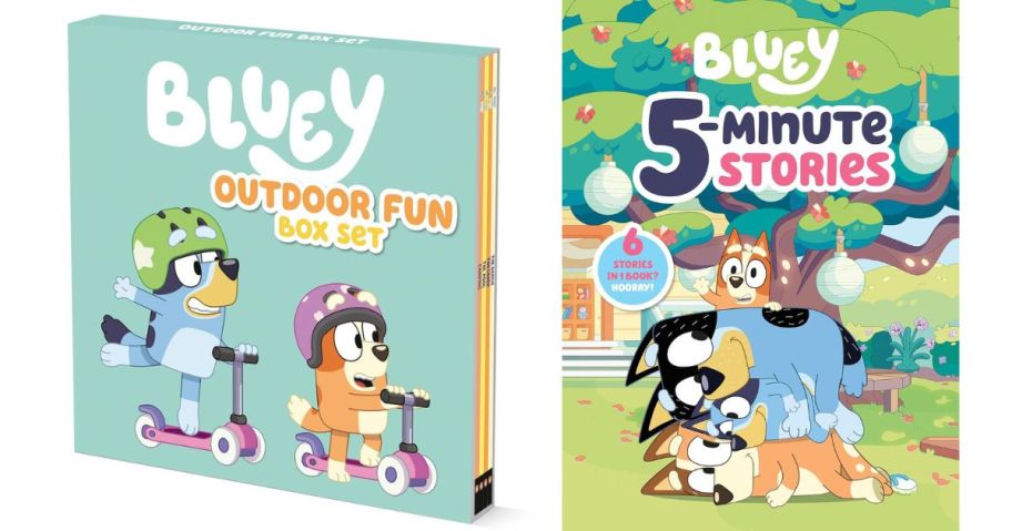 bluey book stock images