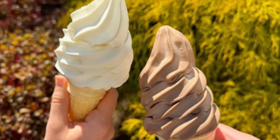 Today Only: Carvel Soft-Serve Cup or Cone JUST $1