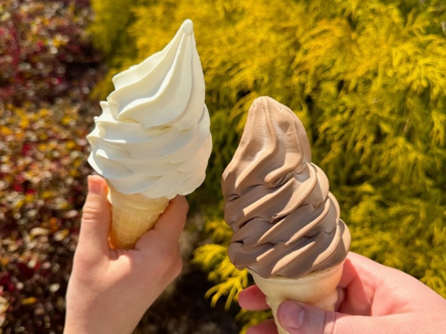 Today Only: Carvel Soft-Serve Cup or Cone JUST $1
