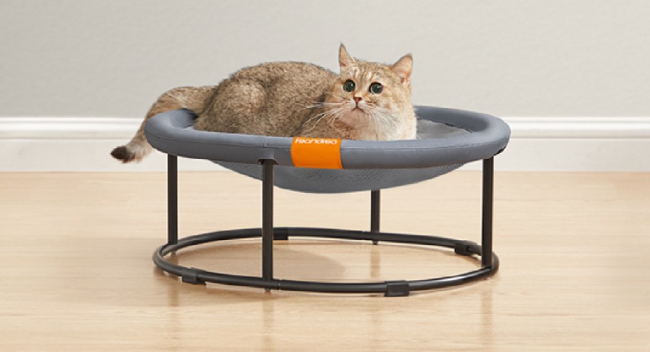 Elevated Pet Bed Just $17.99 on Amazon | Perfect for Cats & Small Dogs