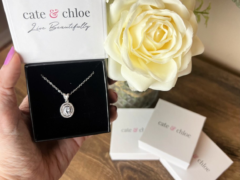 Cate & Chloe Pendant Necklace w/ Gift Box Just $18 Shipped