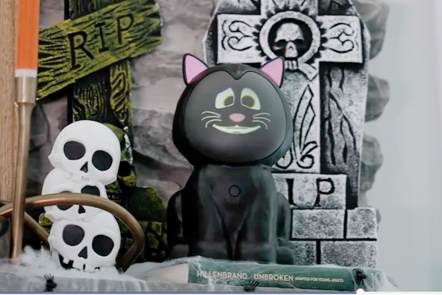 animated projector cat next to skull decor