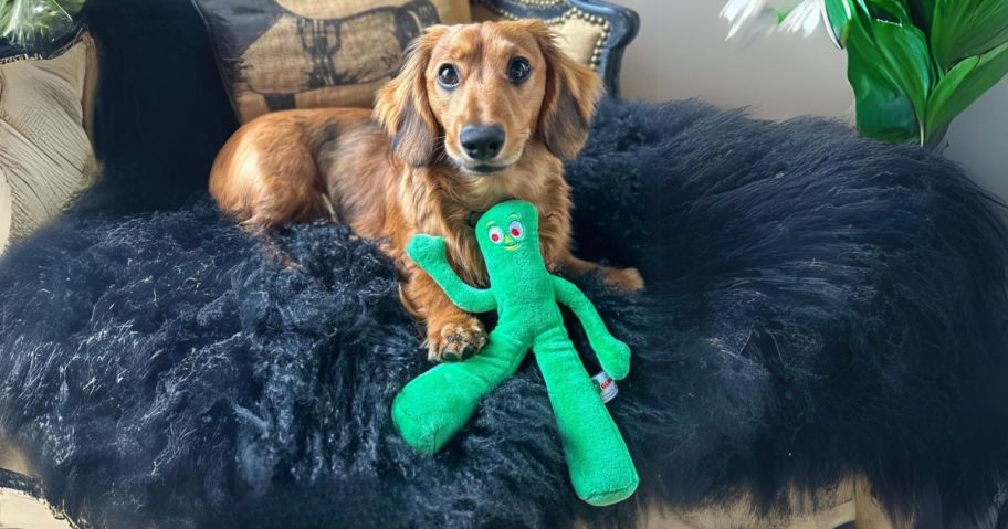 dog holding Multipet Gumby 9