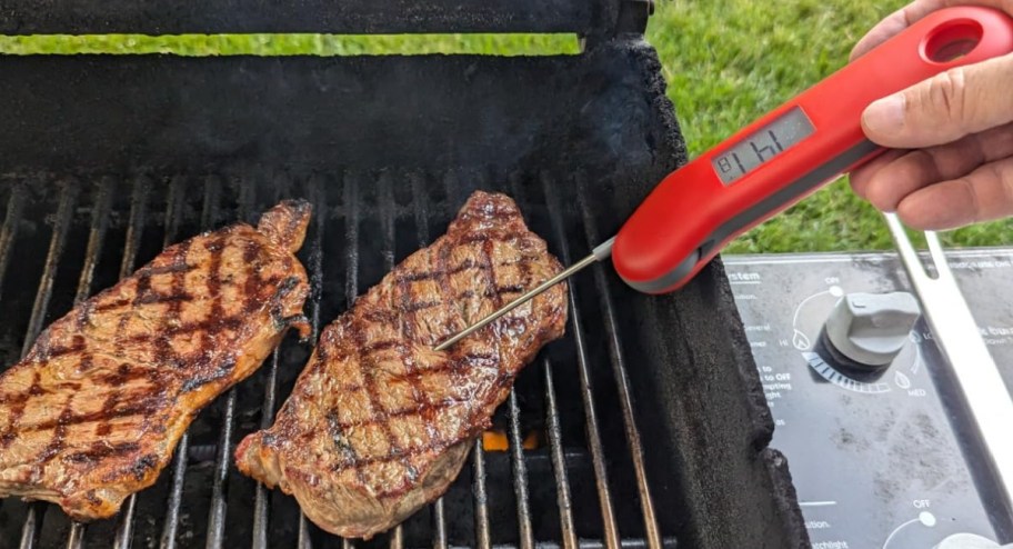 meat thermometer use on grilled steak