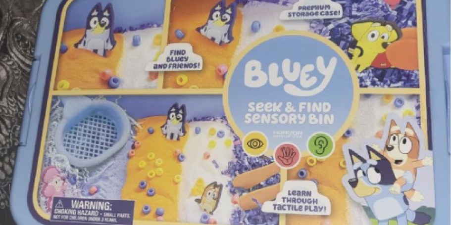 Bluey Seek & Find Sensory Bin Just $13.99 on Amazon (Reg. $20) | Hours of Screen-Free Fun