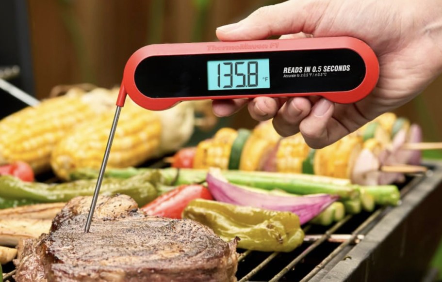 Digital Meat Thermometer Only $13.93 on Amazon (Waterproof & Has Magnetic Back)