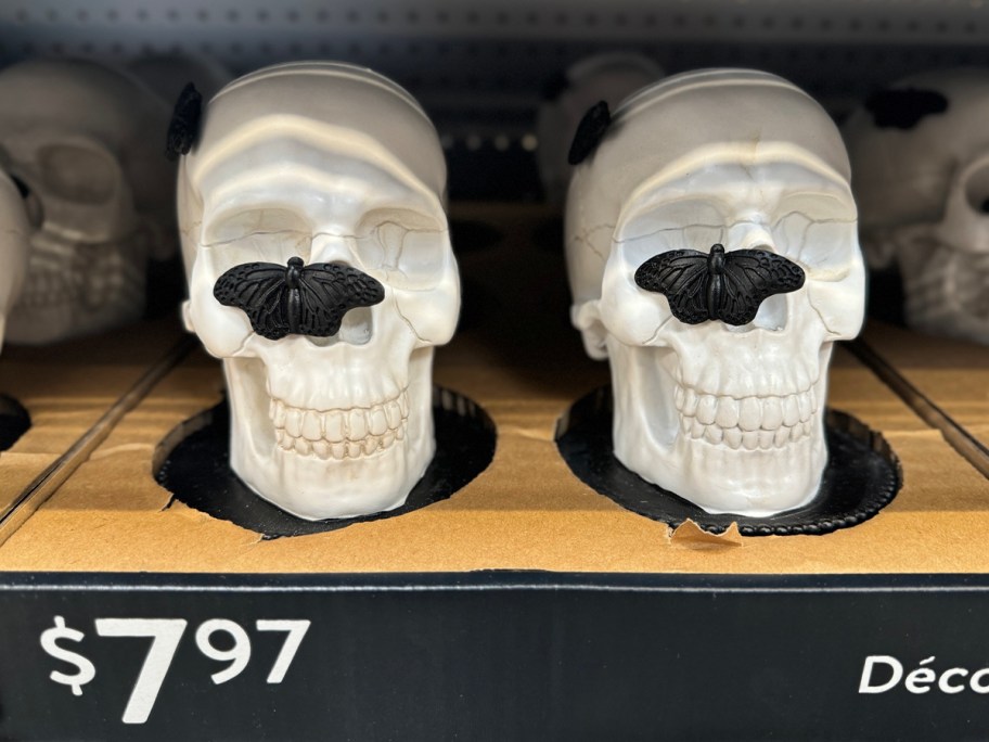 white skull with black moth on nose on a store shelf