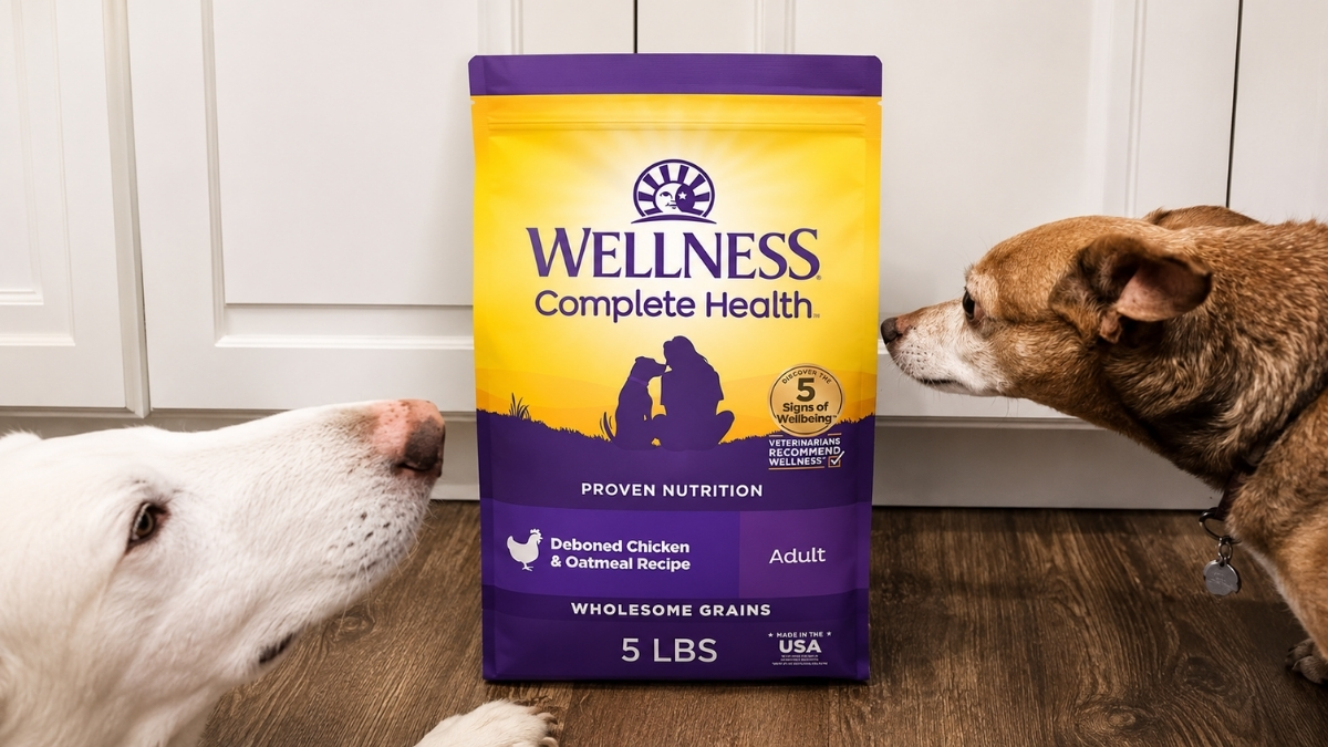 Wellness Dry Dog Food 30lb Bag