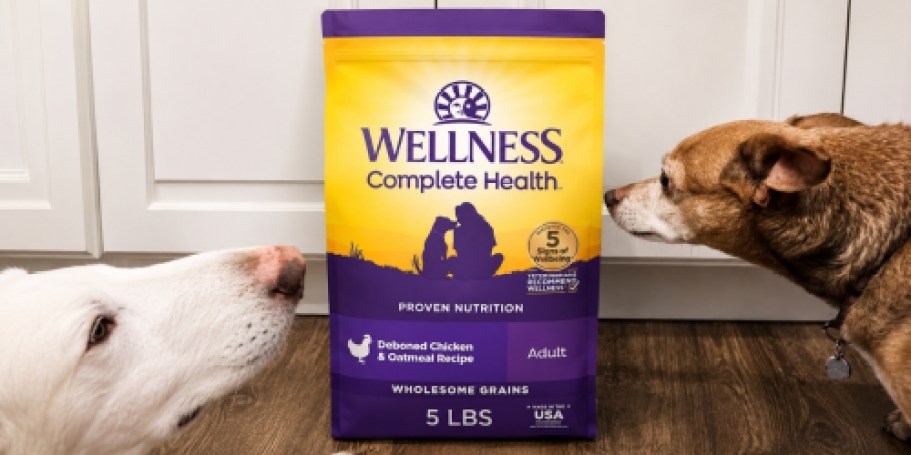 Wellness Dry Dog Food 5lb Bag Only $5.99 Shipped w/ Stackable Amazon Coupons