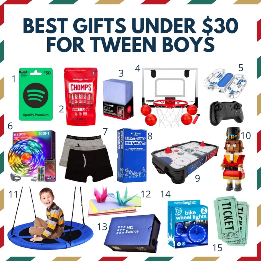 graphic design of tween boy gifts under 30 dollars 