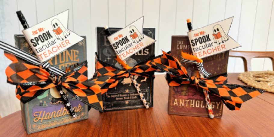 DIY Halloween Teacher Gift – For Surviving Our Sugared Up Kids