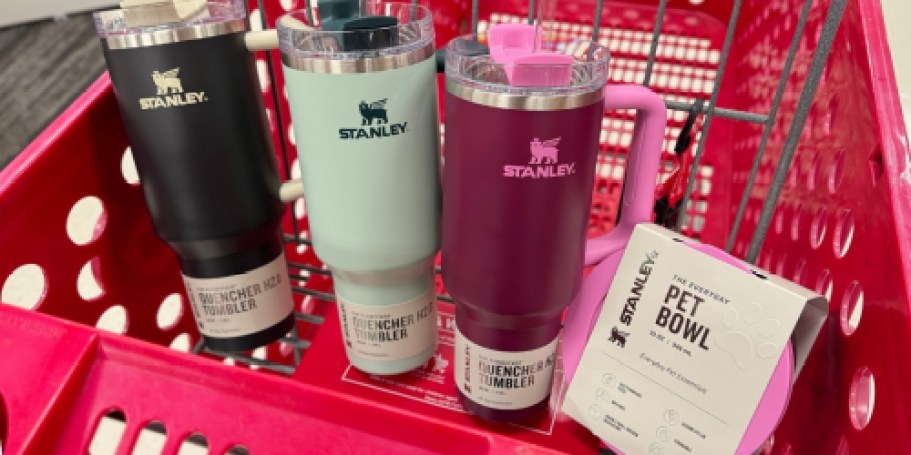 NEW Stanley Cuddle Collab at Target | Matching Tumblers & Pet Bowls… But $30?!