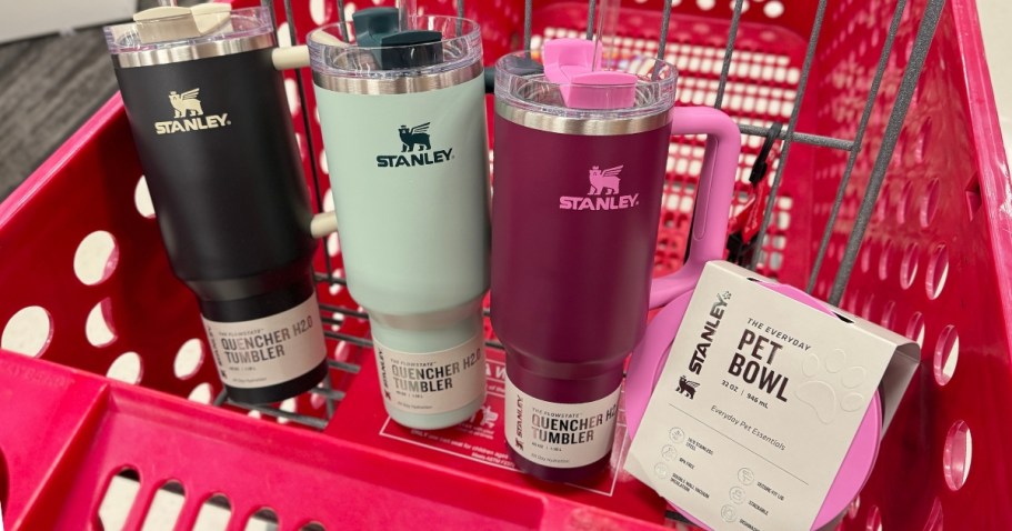 NEW Stanley Cuddle Collab at Target | Matching Tumblers & Pet Bowls… But $30?!