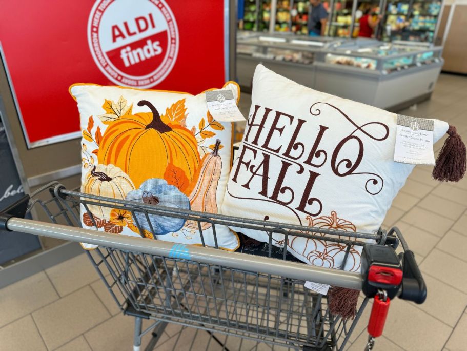 New ALDI Weekly Finds | Fall Decor, Toys, & Much More!