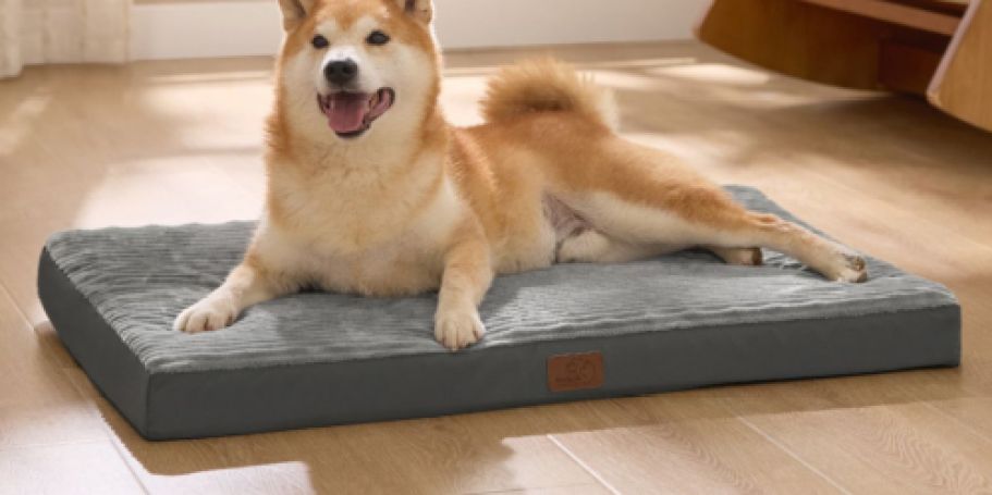 Washable Plush Dog Bed Just $17.49 on Amazon (Perfect for Large Dogs)