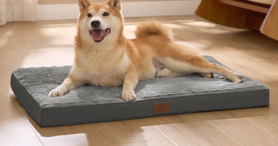Orthopedic Dog Bed Just $17.99 on Amazon (Reg. $30)