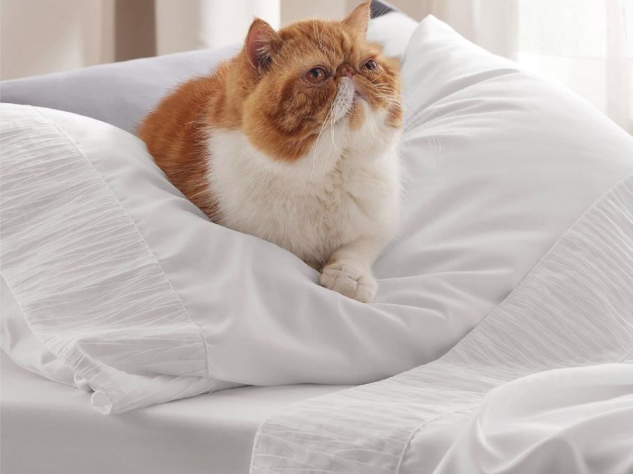 An orange cat sitting atop of a white pillow and white sheets